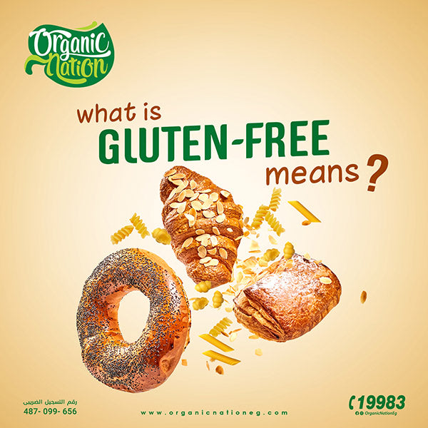 What is gluten-free means?